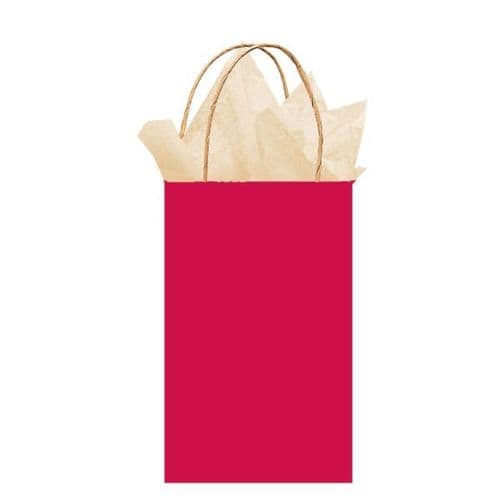 Apple Red Paper Gift Bags 21cm x 13cm x 9cm