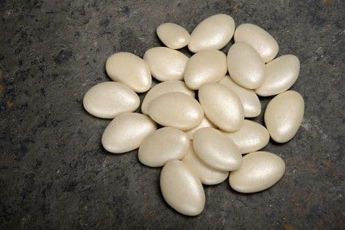 Ivory Pearlised Chocolate Dragees  (Almond Shape) - 30mm size approx
