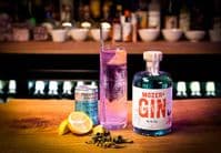 Mozer’s Dry Gin “Fritz” Blue 50cl 40% abv