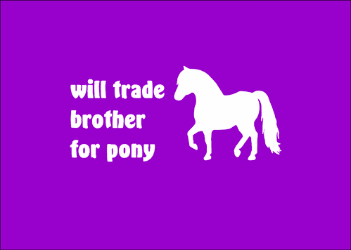 'Will trade brother for pony'