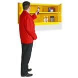 Hazardous Substance Wall Cabinet - 1 Shelf