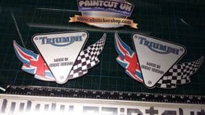 Triumph flag Decal x2 sticker decal graphics restoration replacement SILVER