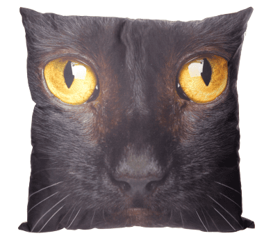 Black Cat Face Photo Design Cushion