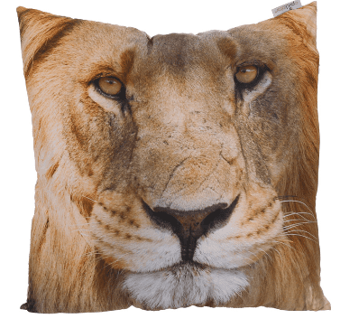 Lion Photo Design Cushion