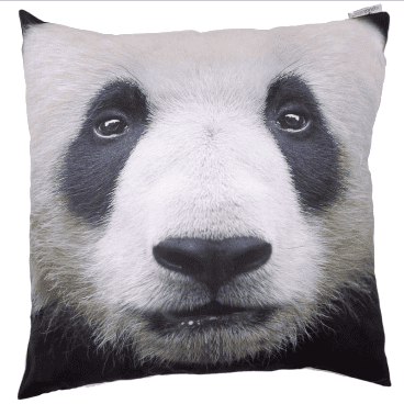 Panda Photo Design Cushion