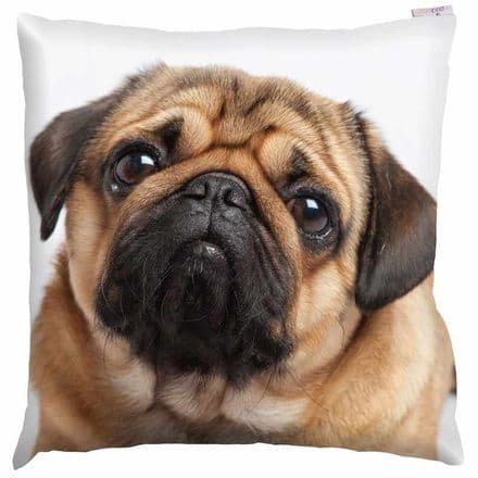 Pug Photo Design Cushion