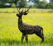 Bronze Standing Deer -  Garden Sculpture - 120cm