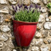 Ceramic Drip Glaze Wall Planter -  Ruby Red - Made From  Recycled Plastic  & Stone