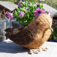 Country Bird -  Garden  Planter - 30cm