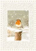 Extra Large Christmas Advent Calendar - The Christmas Robin -Nature/Adult Advent - 46cm