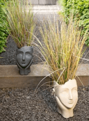 Face Planter - Choose from Grey or Sand