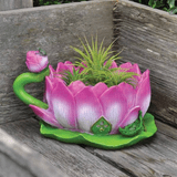 Fiddlehead Lotus Tea Cup Planter