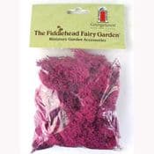 Fiddlehead-Natural Fresh Dyed Reindeer Moss - Fuchsia Pink