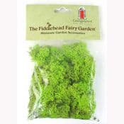 Fiddlehead-Natural Fresh Dyed Reindeer Moss - Spring Green