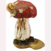 Fiddlehead - Red Woodland Toadstool with Snail - 6cm