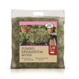 Fresh Sphagnum Moss - Large bag  can line 3 x 14" basket