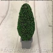 Garden Conifer Tree in a Square Grey Planter   - 14.5cm Tall