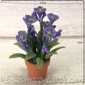 Gardeners World Handmade Miniatures - Violets in a Terracotta Pot  -  6cm