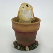 Gardeners World Miniatures  - Bunny in a Flower Pot - 10cm