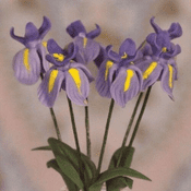 Gardeners World Miniatures - Pack of 6 Purple Spring Iris Flowers