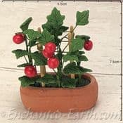 Gardeners World Miniatures - Terracotta Planter with Tomatoes - 7cm