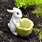Georgetown - Fiddlehead Fairy Garden Bunny with Cabbage Planter