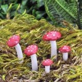 Georgetown Fiddlehead - Miniature Fly Agaric Mushrooms - Pack of 5