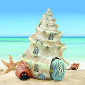 Georgetown -Limited Edition- Fairy House - Sea Shell Shanty