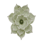 Green Lotus Flower Wall/Table decoration - 28cm