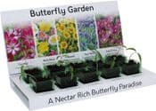 Grow Your Own Butterfly Garden - Easy to Grow Eco Kit - 5 Different Varieties