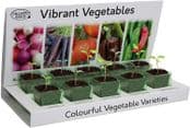 Grow Your Own Vegetables - Easy to Grow Eco Kit - 5 Different Varieties
