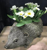 Hedgehog planter - 27cm long