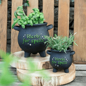 Herbs For Spells  - Cauldron Plant Pot - Choose from two sizes
