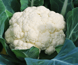 Large cauliflower