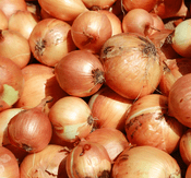 Large  Onions