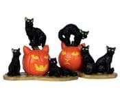 Lemax Spooky Town - Pack of 2 Halloween  Cats & Pumpkins