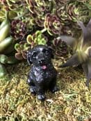 Miniature  Garden Dog - Black Ladrador