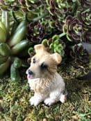 Miniature  Garden Dog - Collie