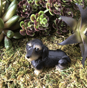 Miniature  Garden Dog - Dachshund