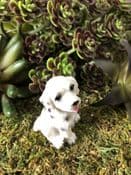 Miniature  Garden Dog - Dalmation