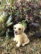 Miniature  Garden Dog - Golden Labrador