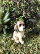 Miniature  Garden Dog - Hound