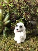 Miniature  Garden Dog - Poodle