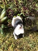 Miniature  Garden Dog - shitzue