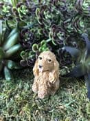 Miniature  Garden Dog - Spaniel