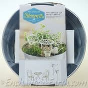 Miniature Garden Gift Set - With Zinc Planter & 5 items