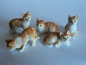 Miniature Garden Ginger & White Cats