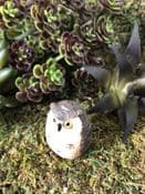 Miniature  Garden Owl  - Brown