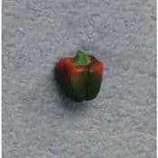 Miniature Garden Red & Green Sweet Peppers -pack of 2