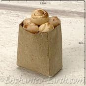 Miniature World - Mushrooms in a bag - 2cm